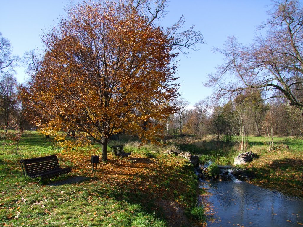 Jesień w Świerklańcu by Michał R. (Axles)