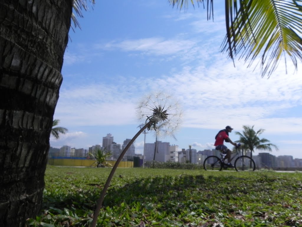 #Vista de Baixo# by Silvio Tadeu Garbulh…