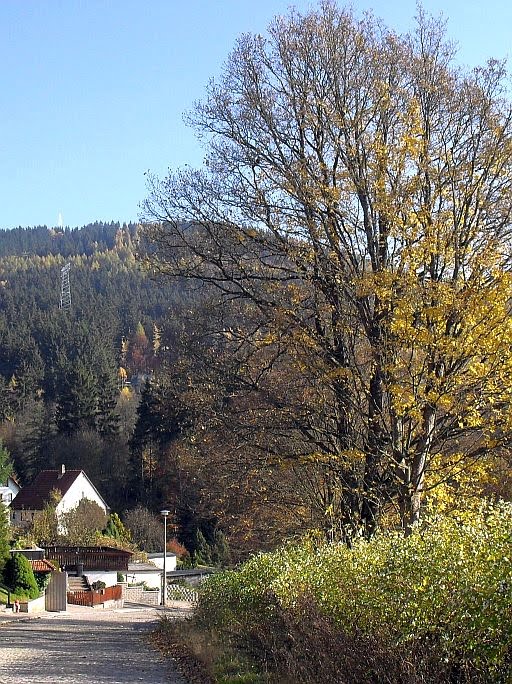 Suhl, Hölderlinstraße mit Blick zum Döllberg by waldfee061163