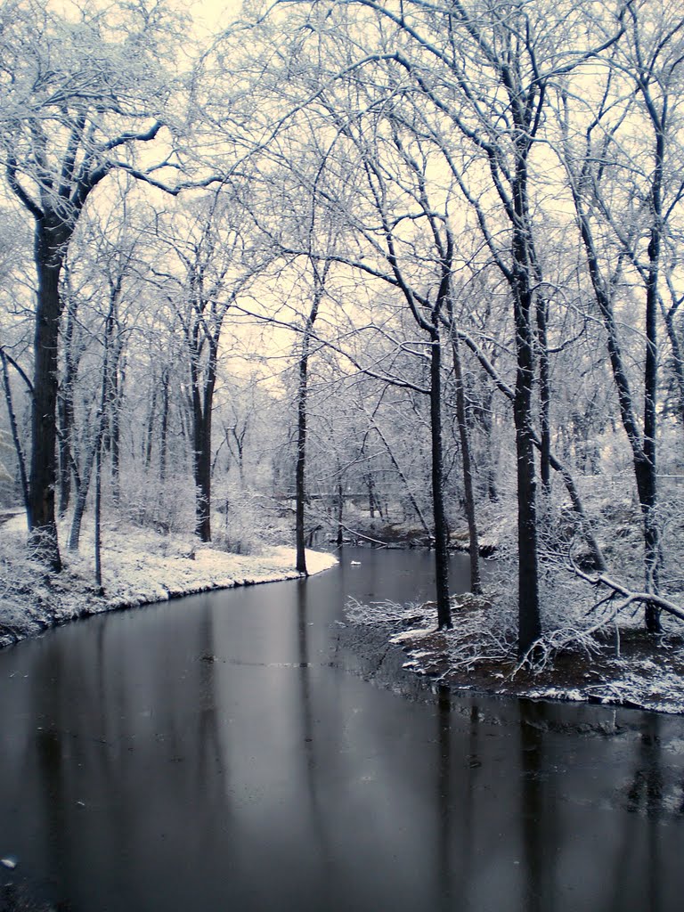 Colour's of Winter's First Snowfall by jozsef nagy