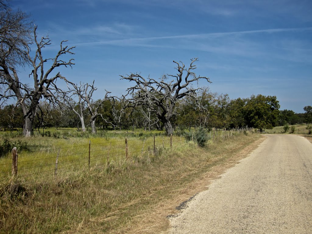 Doss - Cherry Spring Road by philipcmarshall