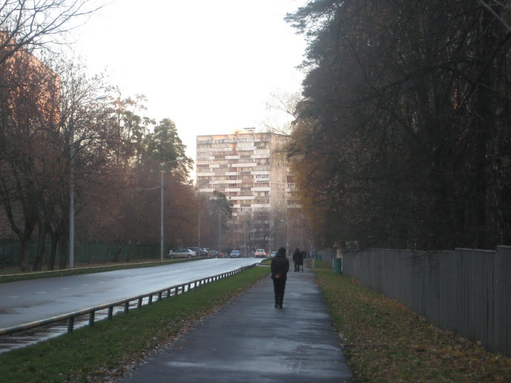 Losinoostrovsky District, Moscow, Russia by Tomo4ka 4emodanova