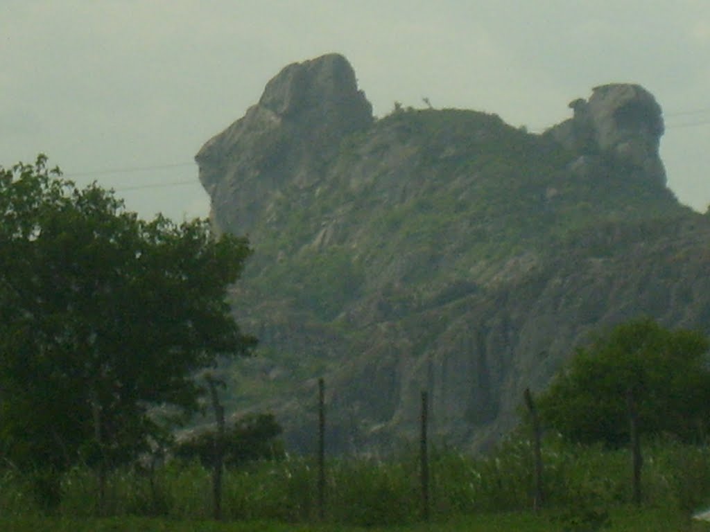 Pedra da Galinha choca Quixadá-Ce by zezito64