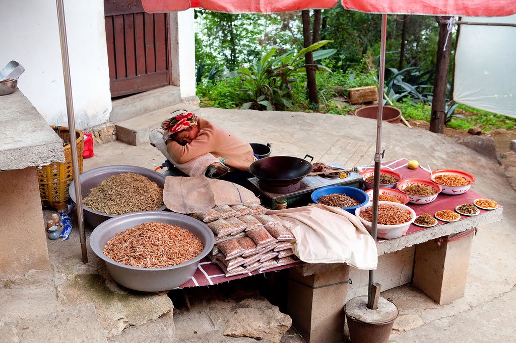 Nap time near the temple by waynebrink