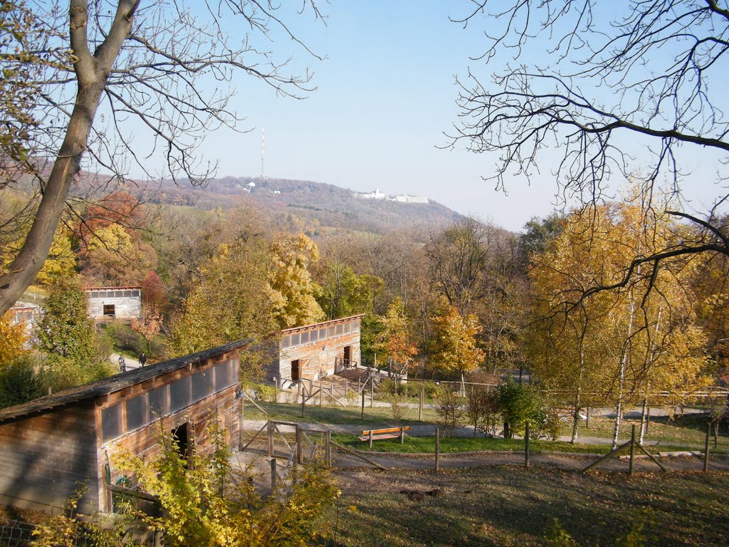 WIDOK Z GÓRY COBENZL by (-: