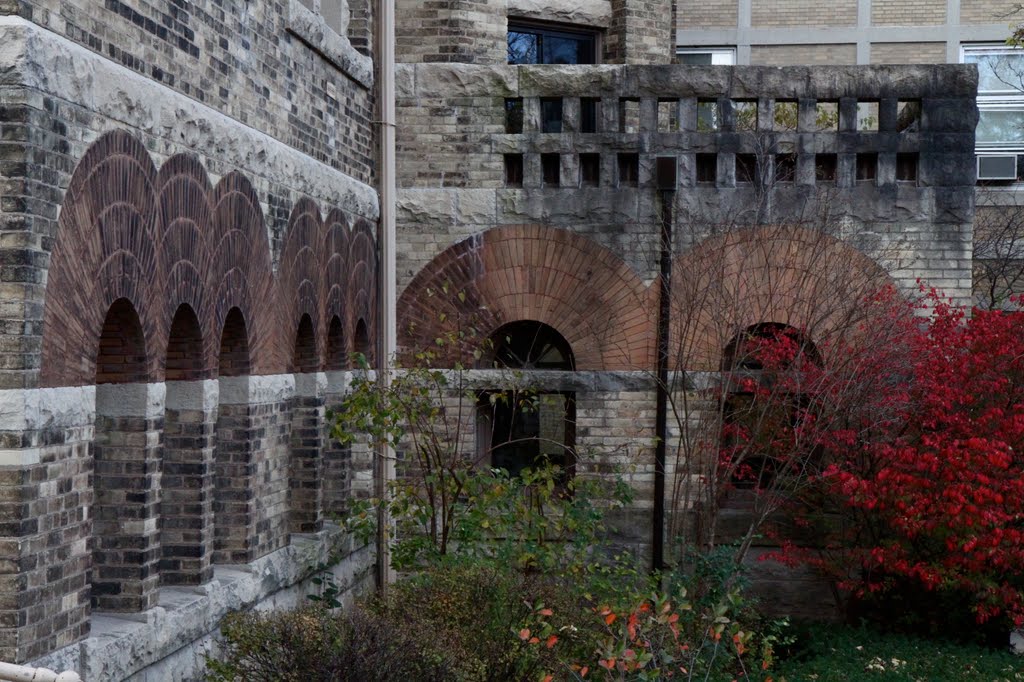 Bricks on King Hall by lafong