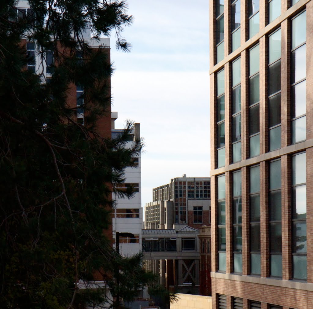 South through new buildings by lafong