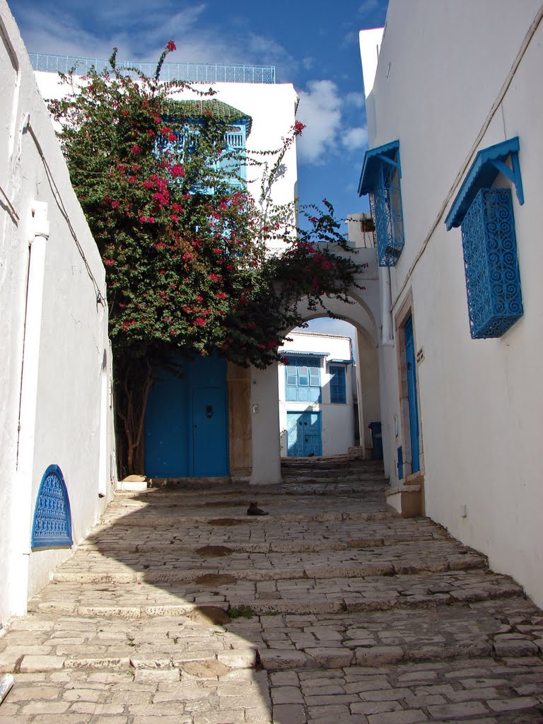 Sidi Bou-Said by photosaur