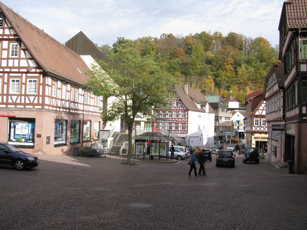 Calw, Germany by ded4907