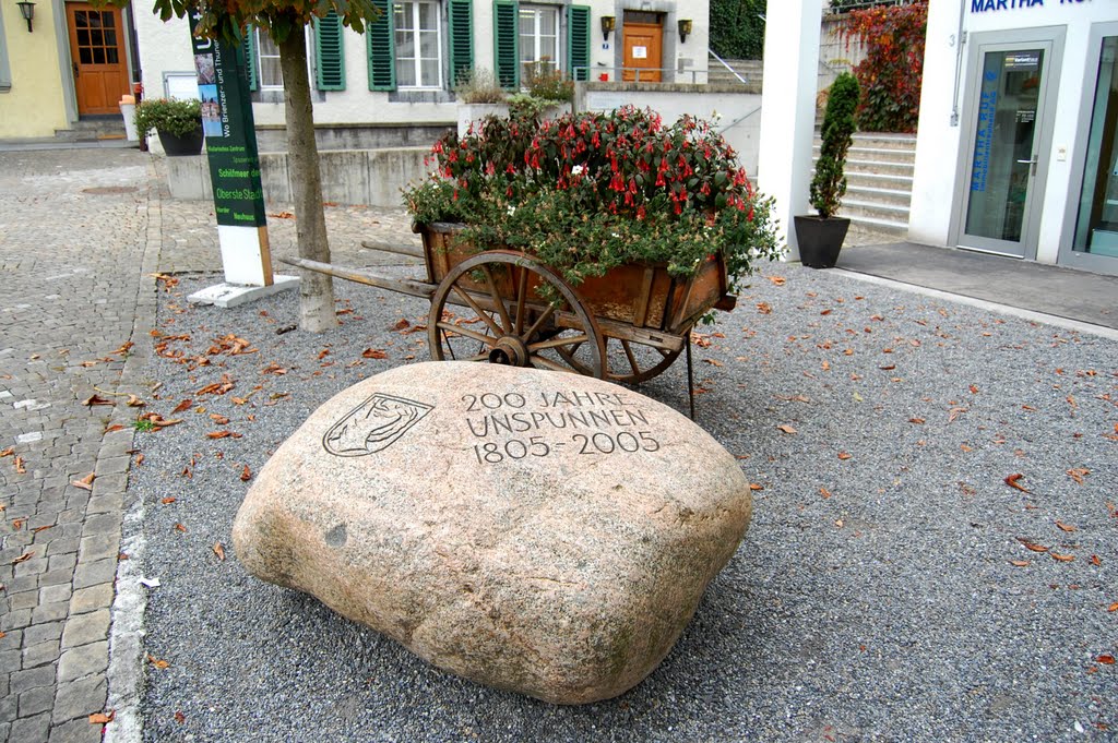 200 year rock at Unterseen near Interlaken Swizterland by crapshoooter