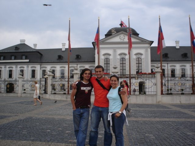 Presidential Palace In Bratislava by Veneman