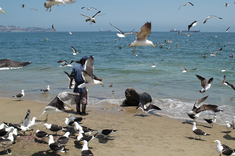 Plage by Pierre-Yves Lagrée