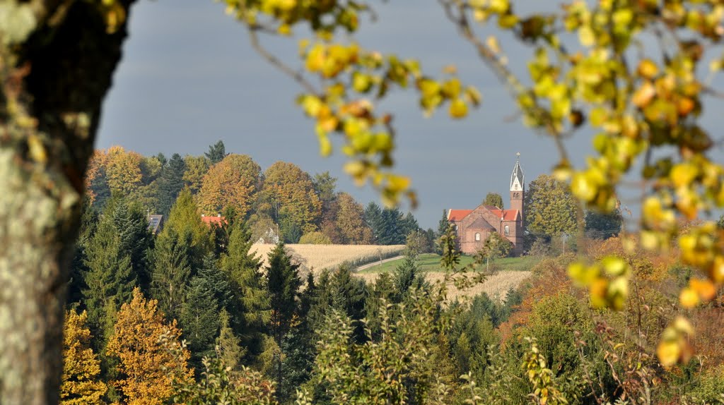 Freiamt-Mußbach by M.Böcherer