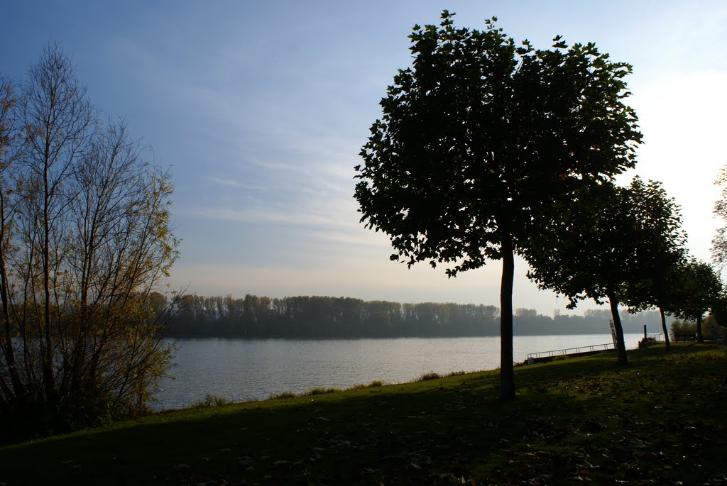 Rhein bei Walluf by Red Lips