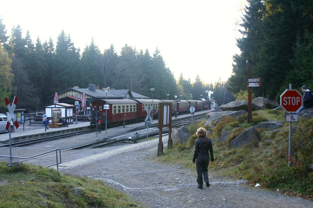 Schierker Bahnhof der Brockenbahn by Chrischan von Danne