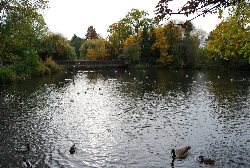 Priory Gardens by Jeremy Clitheroe