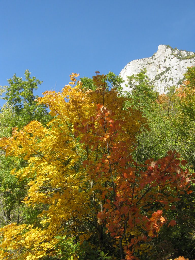 Green yellow red and blue by The soul of the ange…