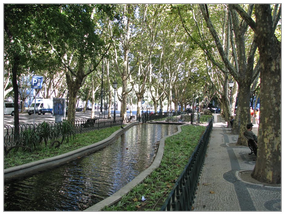 Avenida da Liberdade by André Barragon