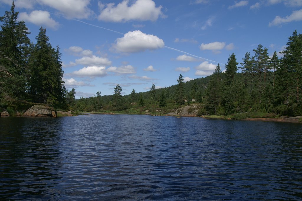 Natur am Vassvann by Obertroll