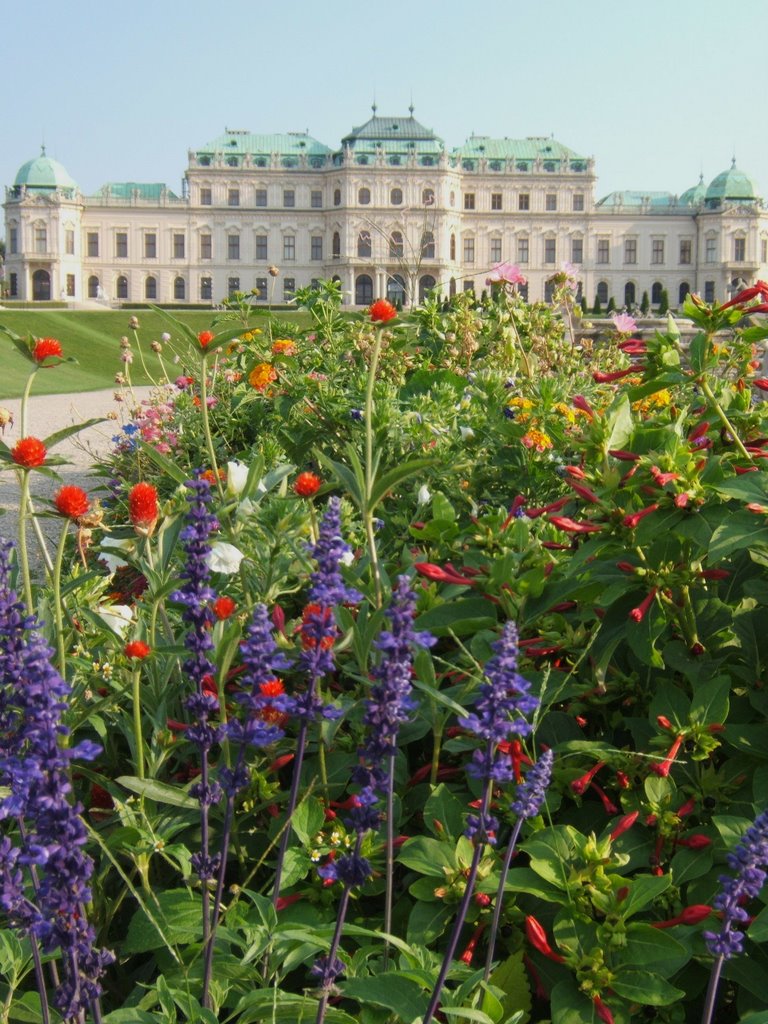 * Vienna - Belvedere * by Quechua