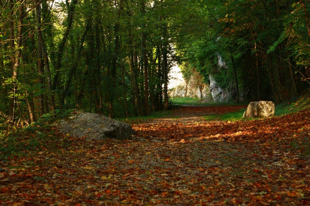 La voie Sarde au début de l'automne by Aurigothe