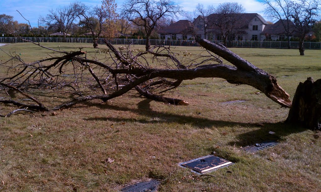 Broken Tree in Cemetery ( Cemetery ) by volcom0913