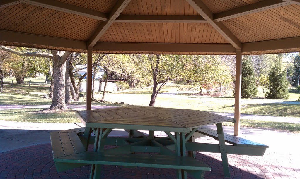 Picnic Table ( Neighborhood ) by volcom0913