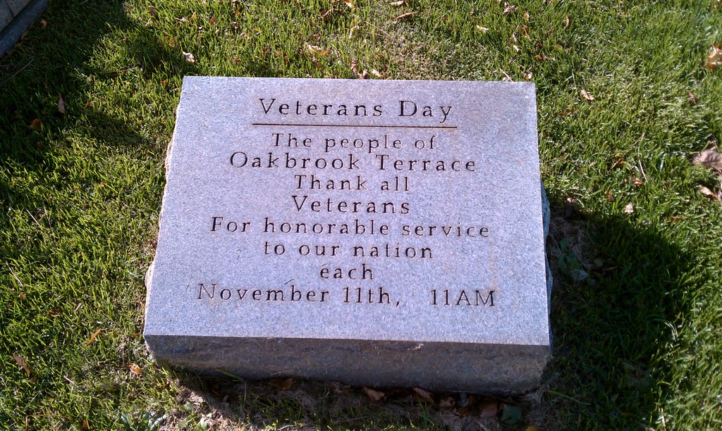 Veterans Day Stone ( Neighborhood ) by volcom0913