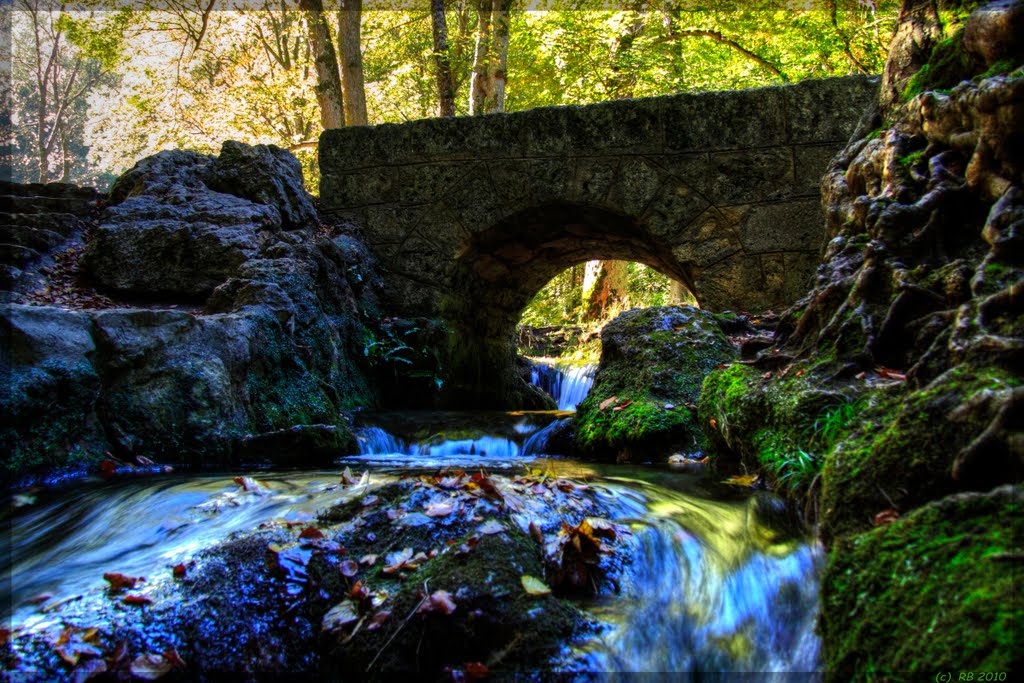 Fairy tale bridge over Brühlbach - Urach Waterfall by digipic | Long live Panoramio!