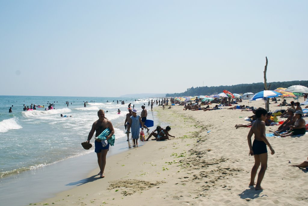 Beach landscape by zandor