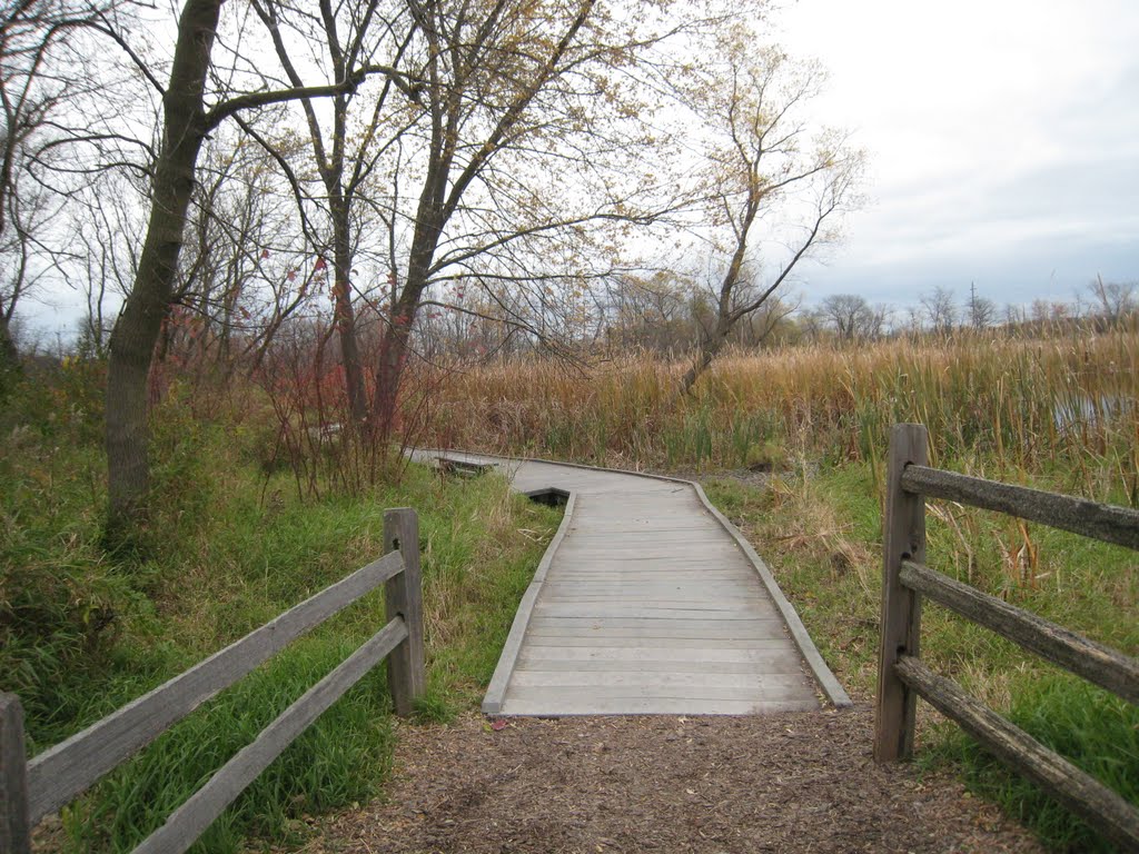 Lincoln Marsh by matt shatswell