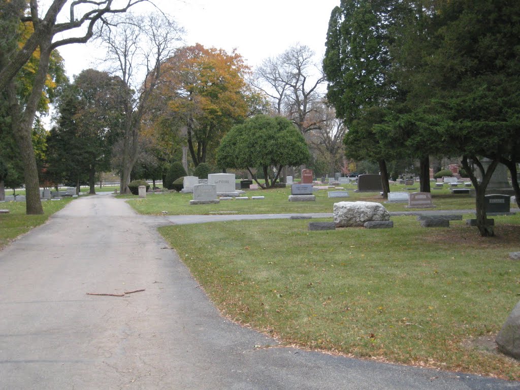 Wheaton Cemetery by matt shatswell