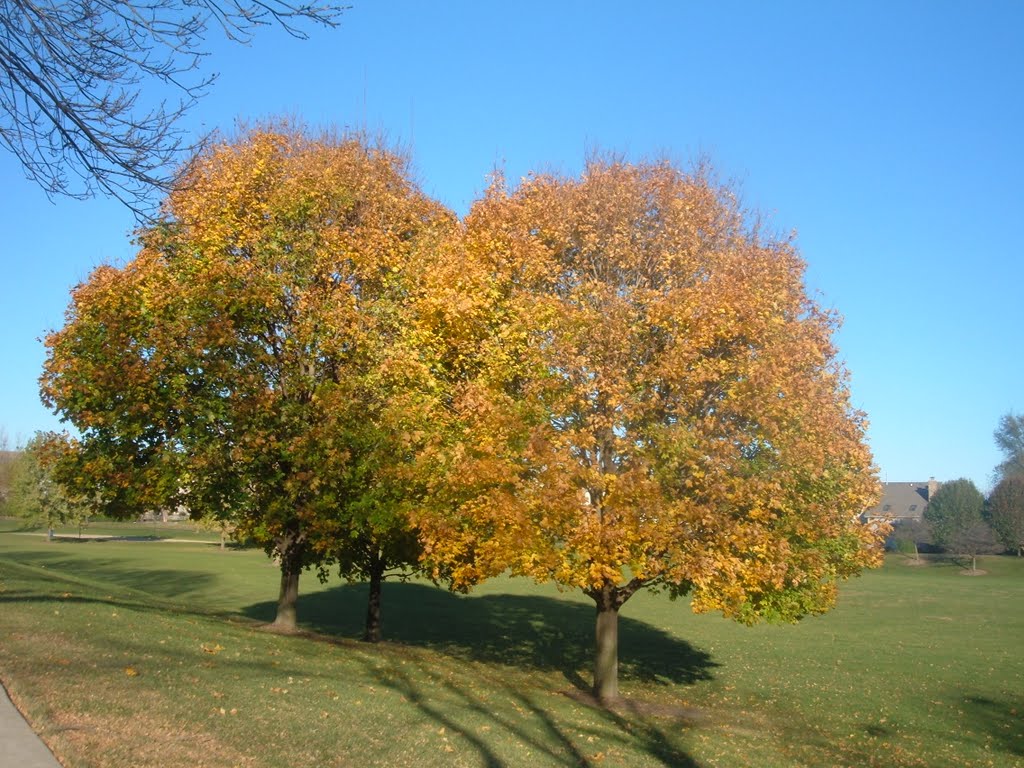 Bolingbrook, IL, USA by Maurizi01