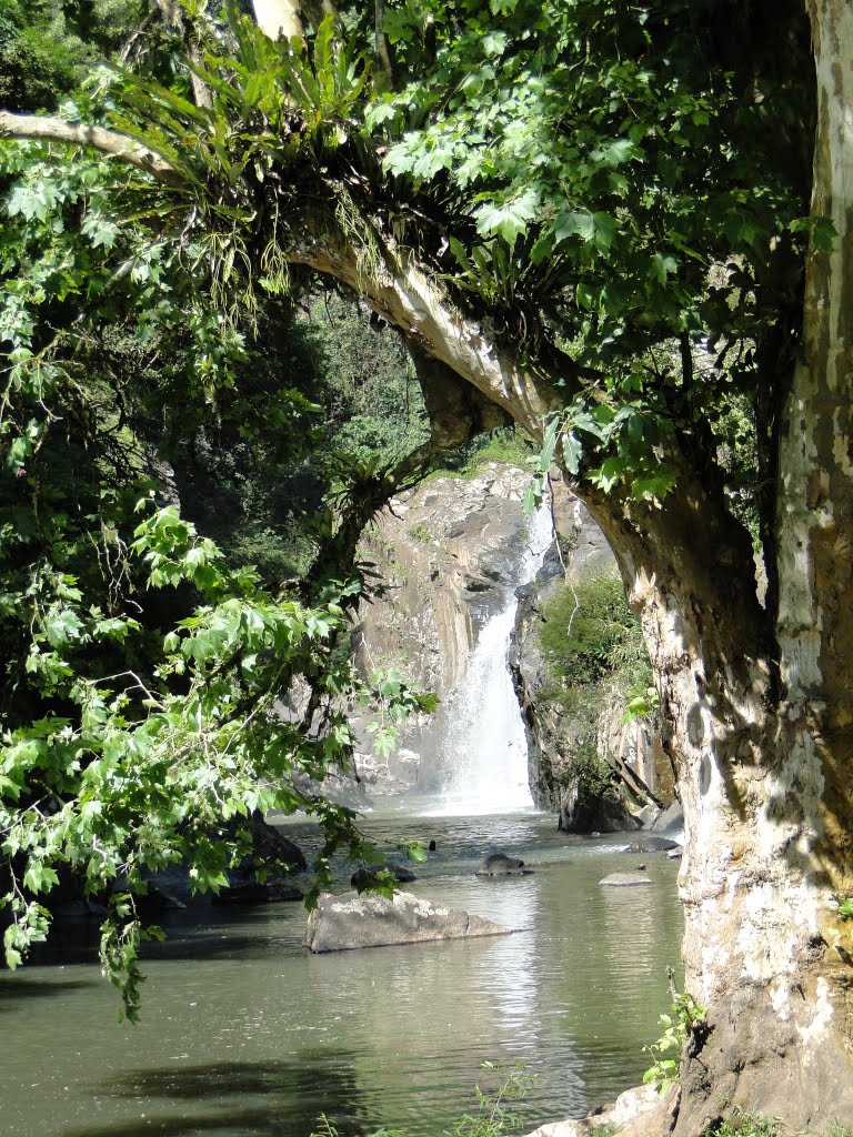 Cascata em Dois Irmãos by Alexandre Kauer de B…