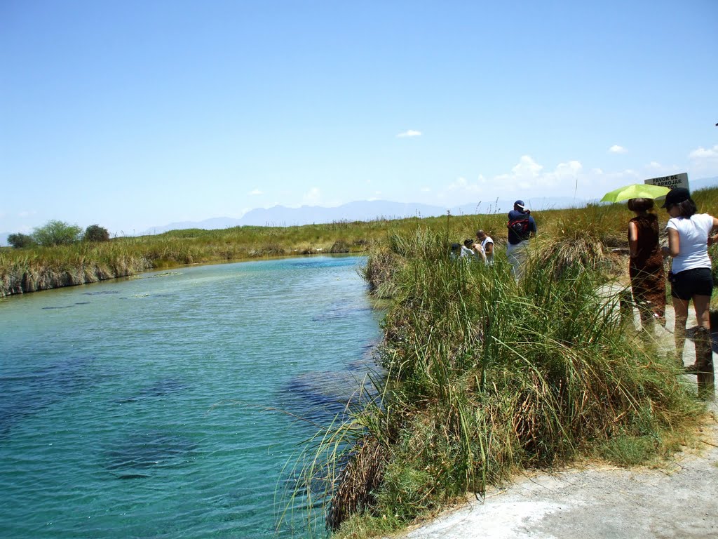 Poza Azul.Valle C Cíénegas.Problemática:Uso de recursos:peces,moluscos,crustáceos y reptiles en riesgo. by Consuelo de Monclova