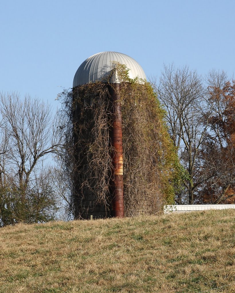 Silo on old Lebanon Road by matneym