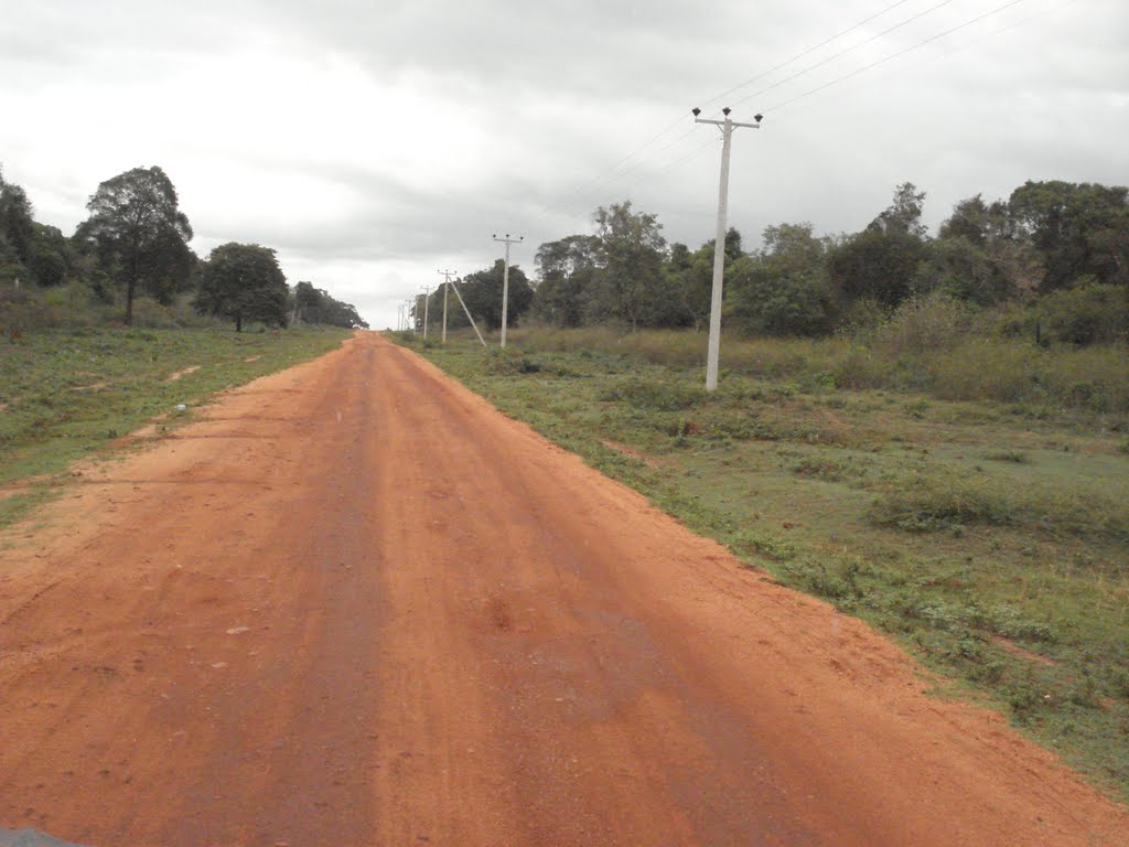 Nedunkerny Oddusudan Road by chamindaweerasekara