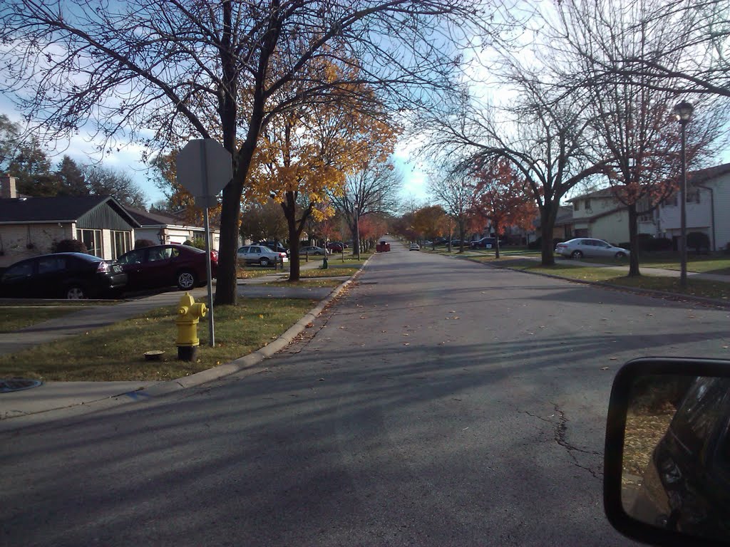 Chatham and Yorkfield, Elmhurst, IL by JosephRoberto