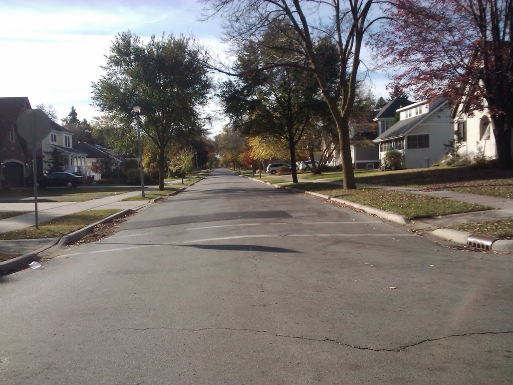 Elmhurst, IL , Multi-Color Greens by JosephRoberto