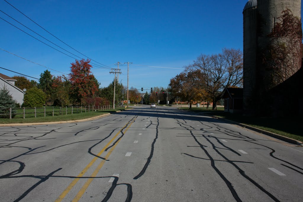 Green Valley Forest Preserve Green Road (Facing North) by Evan Martin