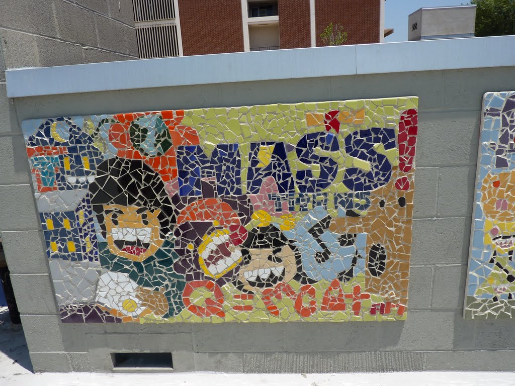 Stern MASS Class of 2012 Mural by monica.chow