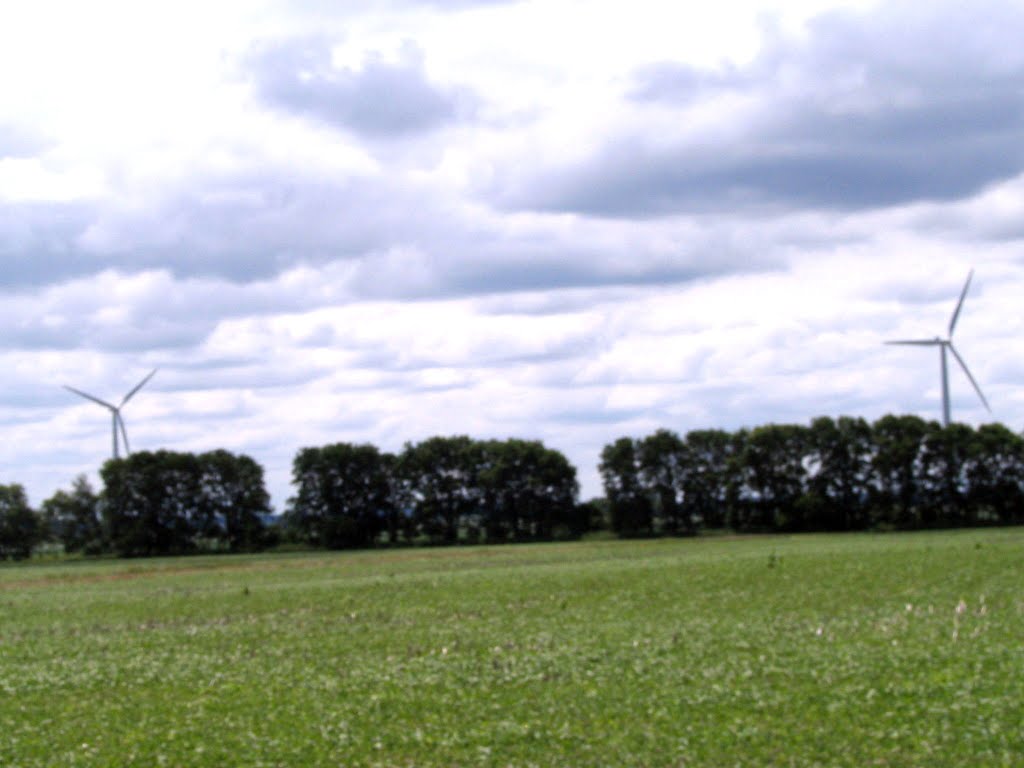 Fowler Indiana Windmills by Bob Woloszyn