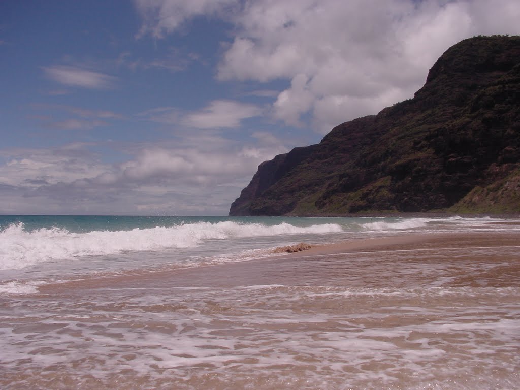 Polihale Beach, Kauai, Hawaii by trcampbell