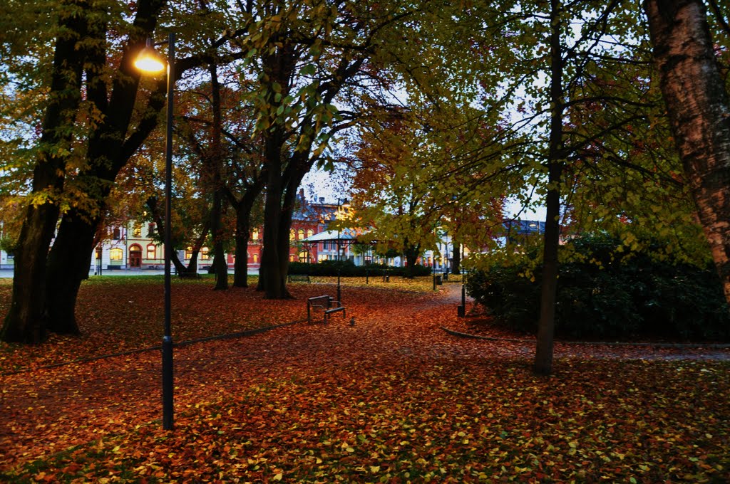 Høst Wergelandsparken by Stig Berge