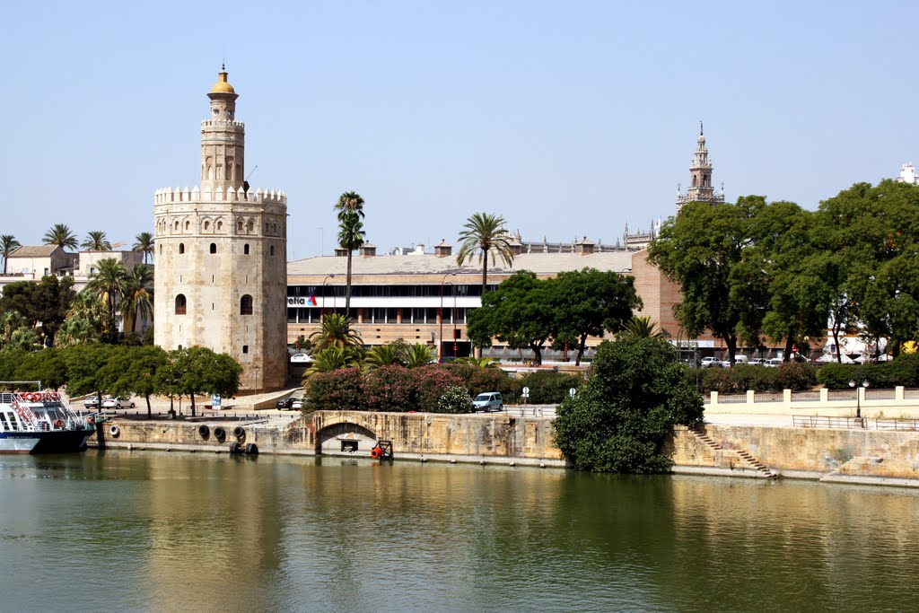 Torre del Oro y Río Guadalquivir, Sevilla by David Serrano