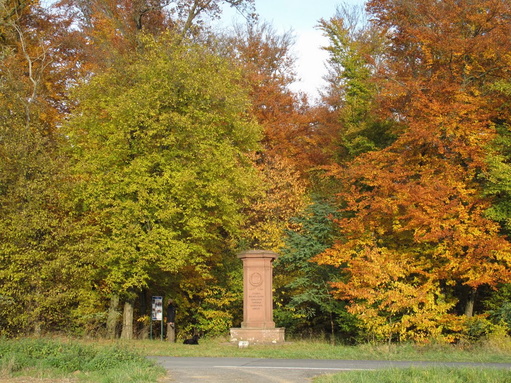 Lerchenberg - Grab/ Denkmal 1866 - Bayern-Denkmal (25.7.1866) by H. Beierstettel