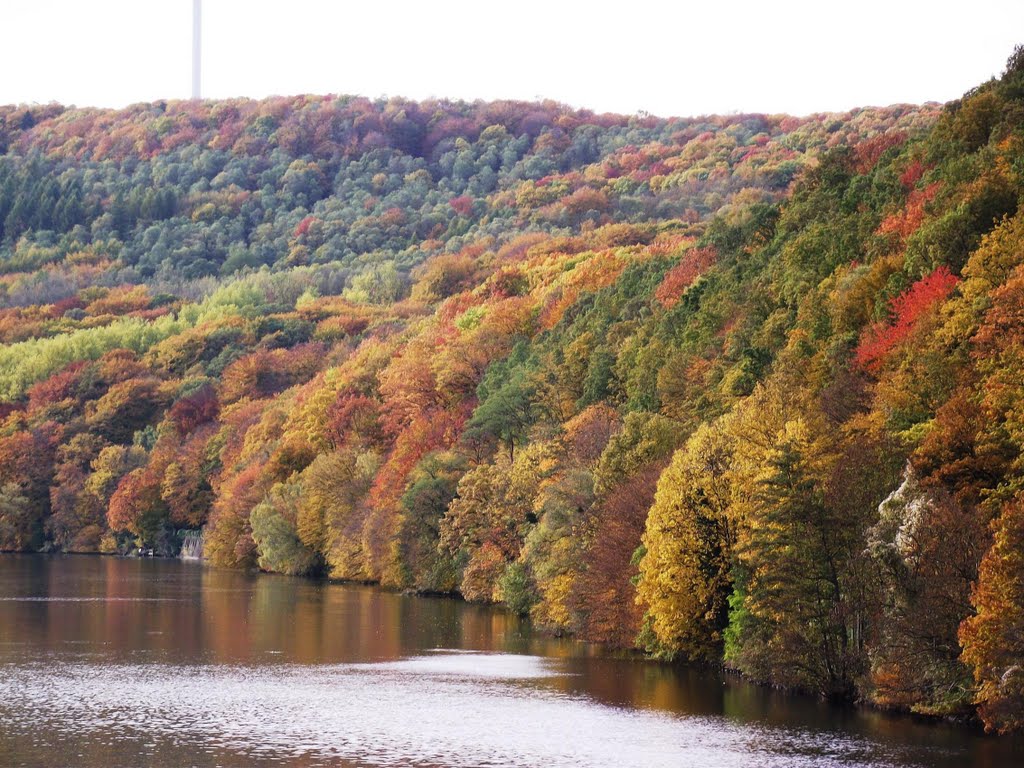 Indian Summer, Syburg 2010 by Courlman