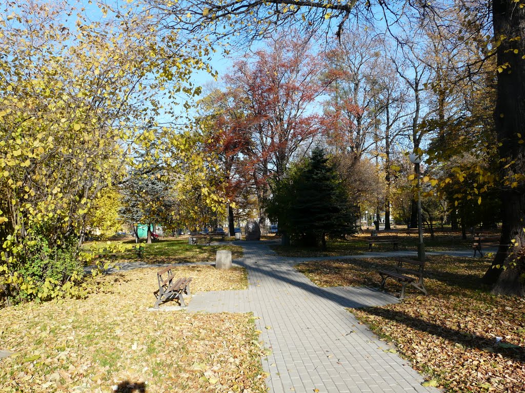 Park przy Świdnickiej by lzur