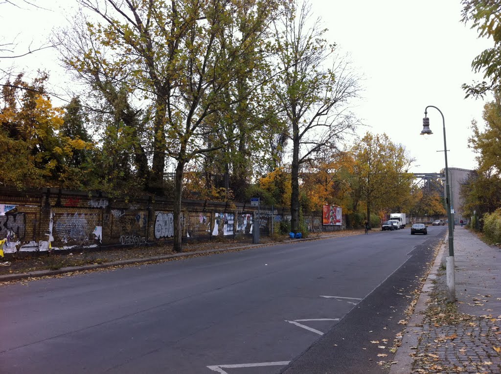 Flottwellstrasse, Berlin (XI/2010) by worldflyer1207