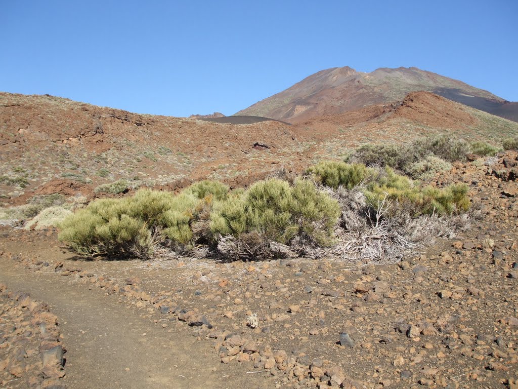 Sendero pico viejo by cande martin